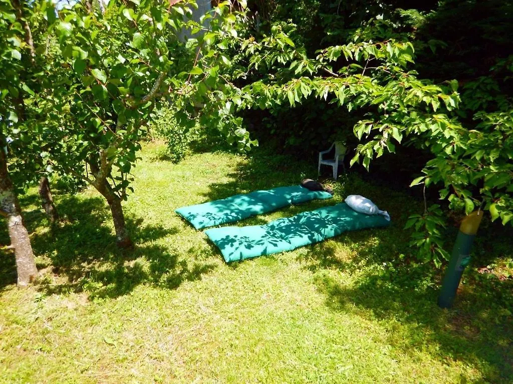 2 Chambres Et Salle De Bain Un Oasis De Bien Etre Piscine Et Jardin Direct Gare Aeroport Toulouse Bed & Breakfast